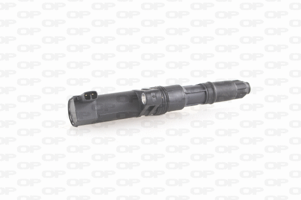 Ignition Coil (IGN1009.00)