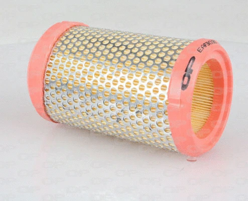 Air Filter (EAF3030.20)