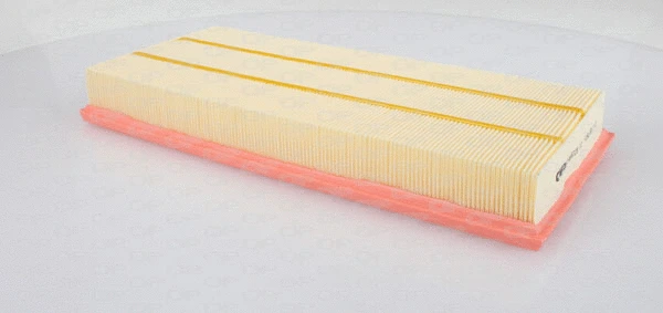Air Filter (EAF3029.10)
