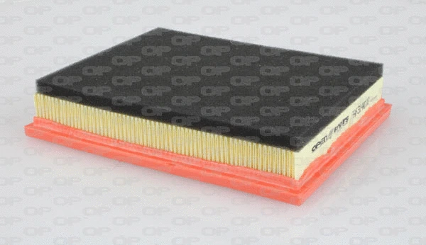 Air Filter (EAF3140.10)