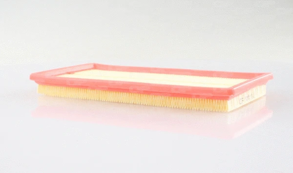 Air Filter (EAF3445.10)