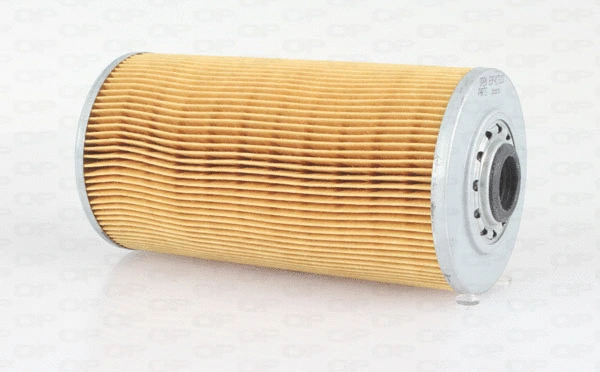 Oil Filter (EOF4173.10)