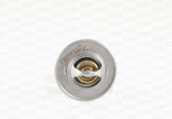 Thermostat, coolant (TRM1006.00)