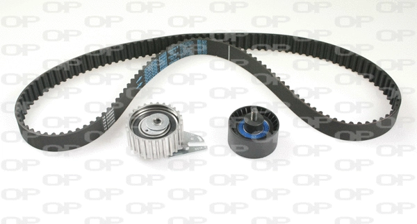 Timing Belt Kit (TBK5119.01)