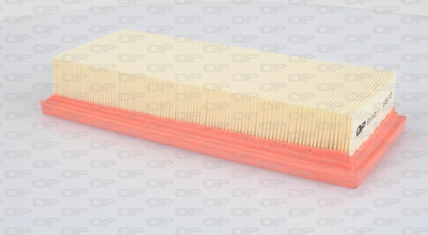 Air Filter (EAF3002.10)