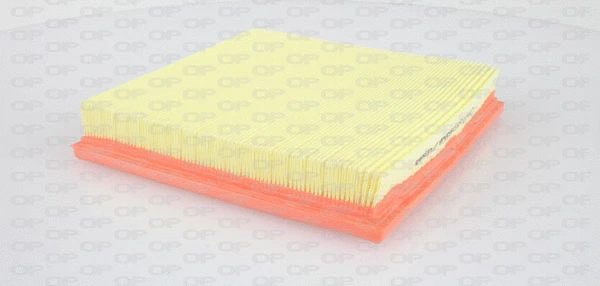 Air Filter (EAF3334.10)