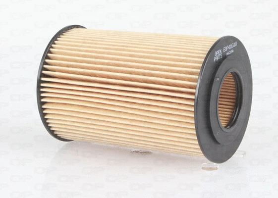 Oil Filter (EOF4163.10)