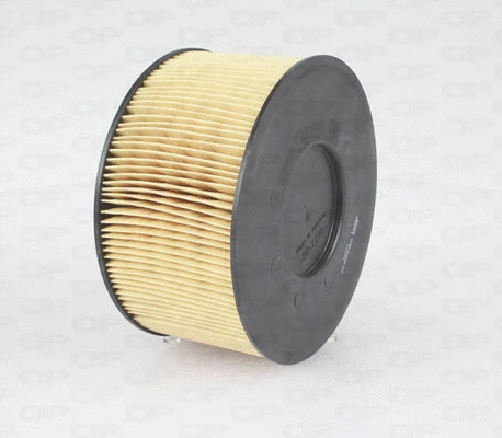 Air Filter (EAF3428.20)