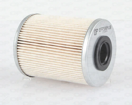Fuel Filter (EFF5009.10)