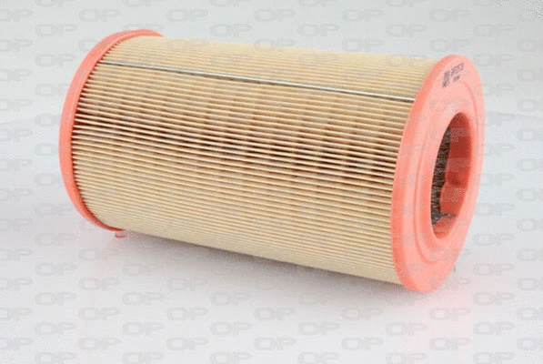 Air Filter (EAF3257.20)
