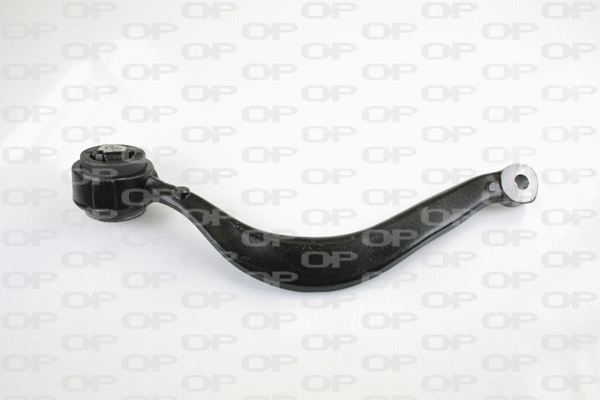 Control/Trailing Arm, wheel suspension (SSW1099.10)