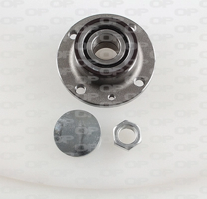 Wheel Bearing Kit (HBK5070.02)
