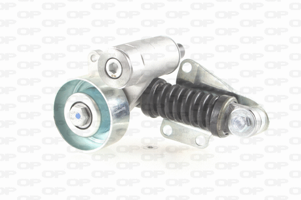 Belt Tensioner, V-ribbed belt (ACT2193.00)