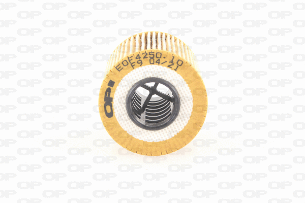 Oil Filter (EOF4250.10)