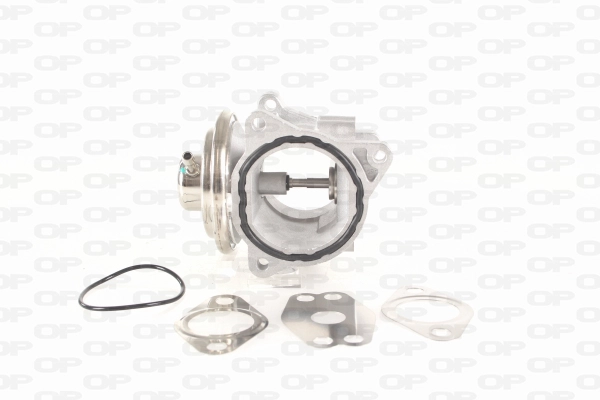 EGR Valve (EGR3002.00)