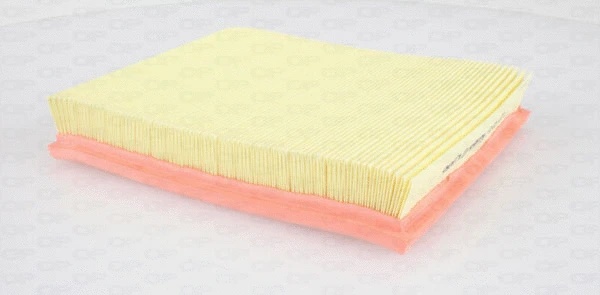 Air Filter (EAF3389.10)