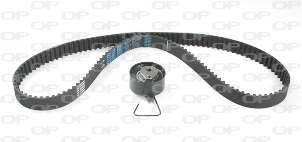 Timing Belt Kit (TBK5136.01)
