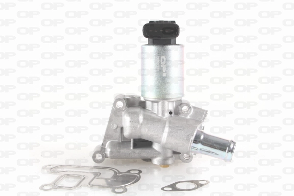 EGR Valve (EGR3036.00)