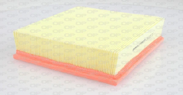 Air Filter (EAF3287.10)