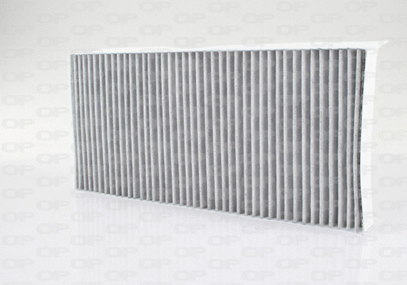 Filter, cabin air (CAF2020.11)