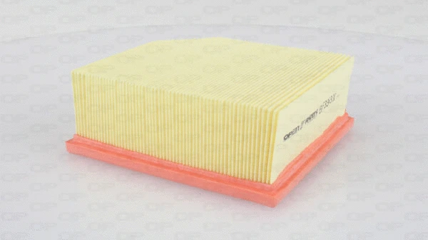 Air Filter (EAF3363.10)