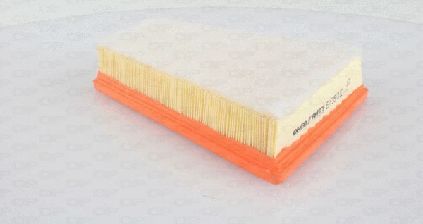 Air Filter (EAF3553.10)