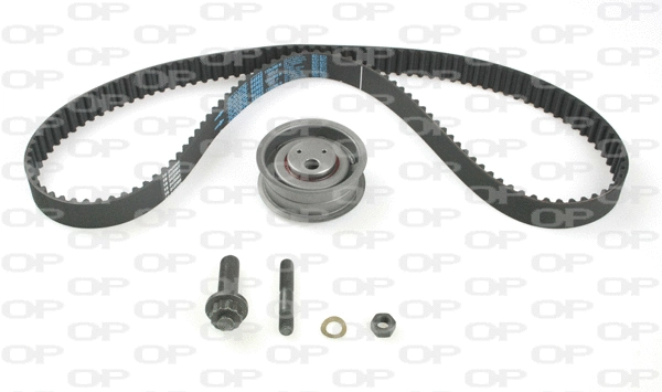 Timing Belt Kit (TBK5114.11)