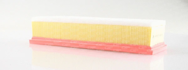 Air Filter (EAF3159.10)