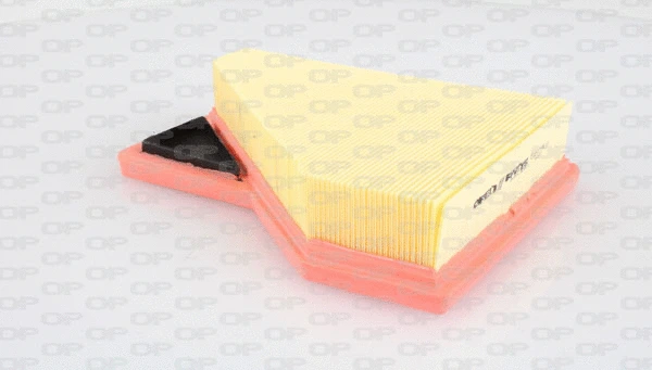 Air Filter (EAF3269.10)