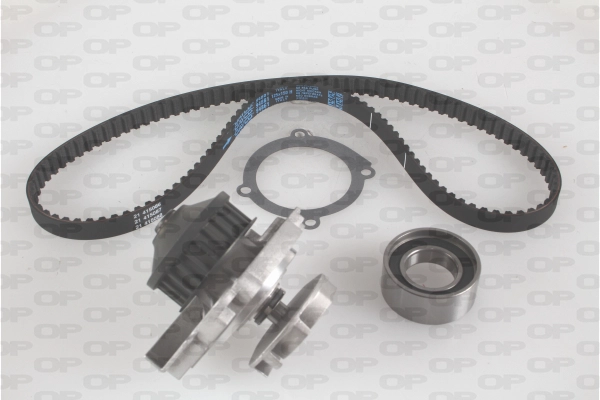 Water Pump & Timing Belt Kit (WTBK5016.00)