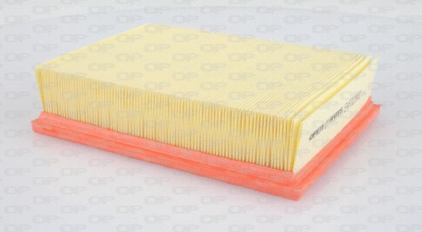 Air Filter (EAF3129.10)