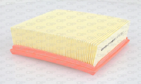 Air Filter (EAF3078.10)