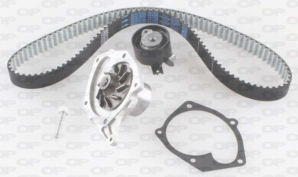 Water Pump & Timing Belt Kit (WTBK5066.01)