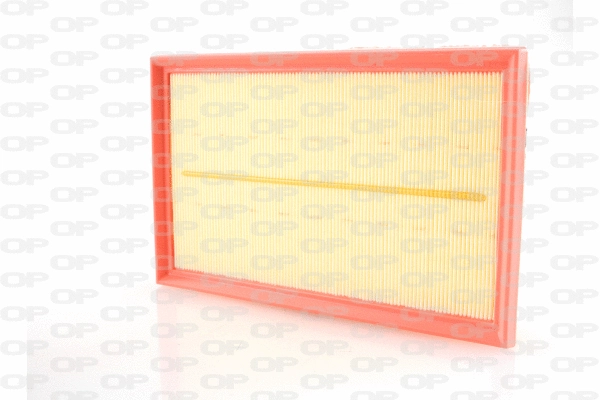 Air Filter (EAF3712.10)