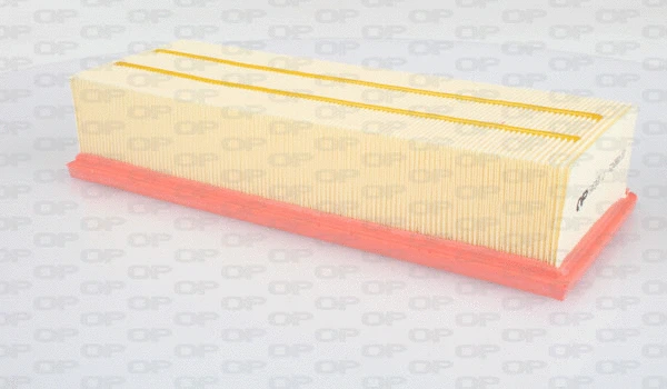 Air Filter (EAF3001.10)