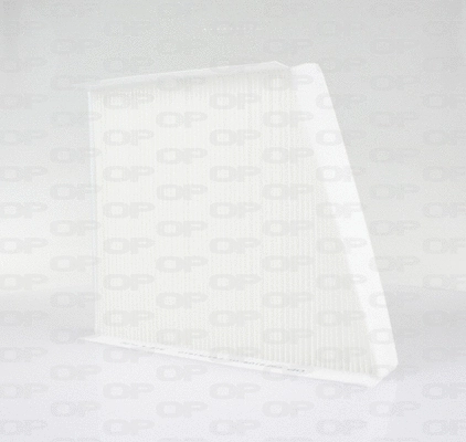 Filter, cabin air (CAF2109.01)