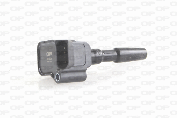 Ignition Coil (IGN1015.00)