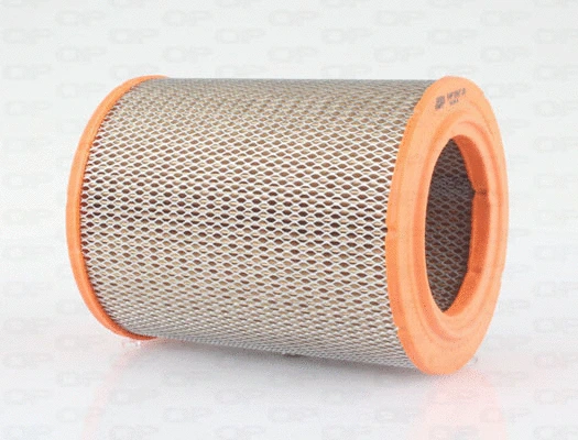 Air Filter (EAF3567.20)