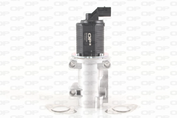 EGR Valve (EGR3014.00)