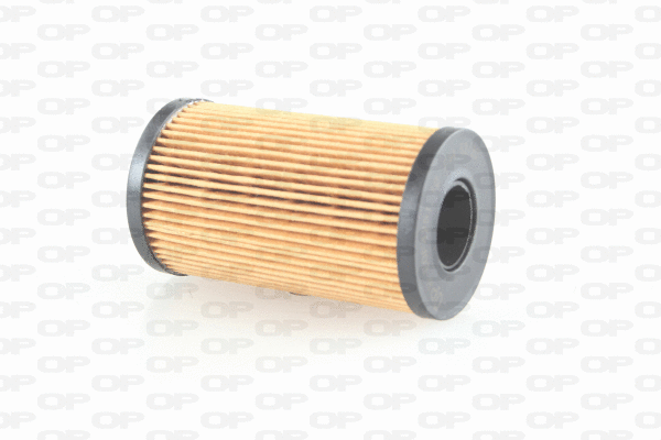 Oil Filter (EOF4251.10)
