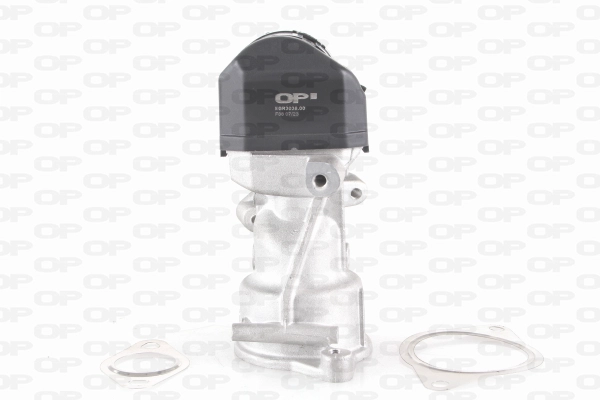 EGR Valve (EGR3038.00)
