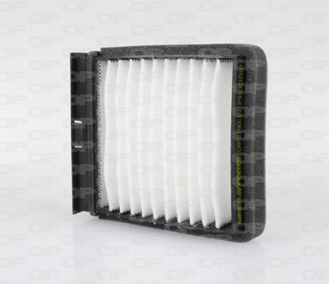 Filter, cabin air (CAF2190.01)