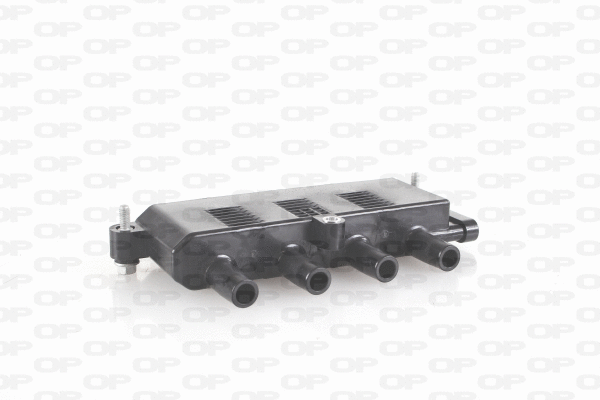 Ignition Coil (IGN1005.00)