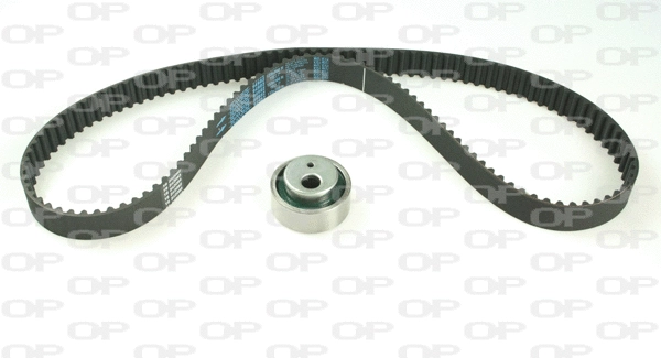 Timing Belt Kit (TBK5126.01)