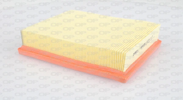 Air Filter (EAF3273.10)