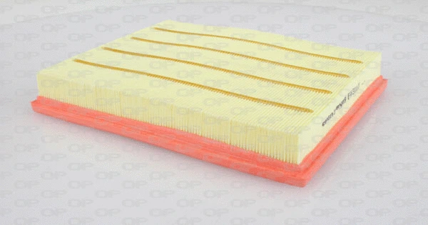 Air Filter (EAF3118.10)