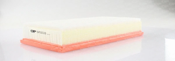 Air Filter (EAF3252.10)