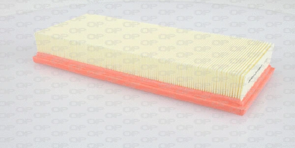 Air Filter (EAF3109.10)