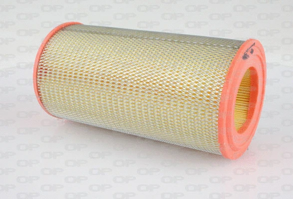 Air Filter (EAF3158.20)