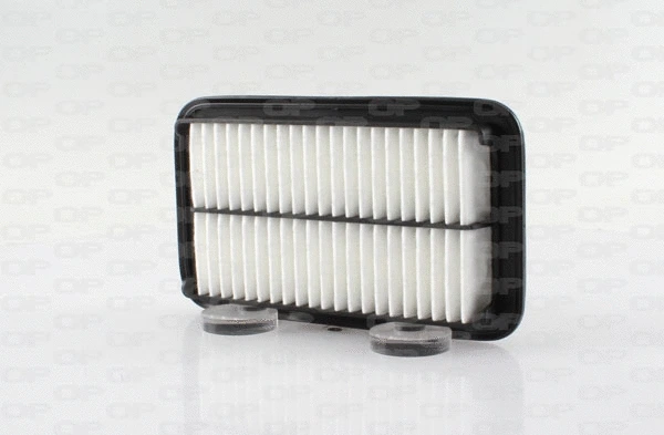 Air Filter (EAF3678.10)